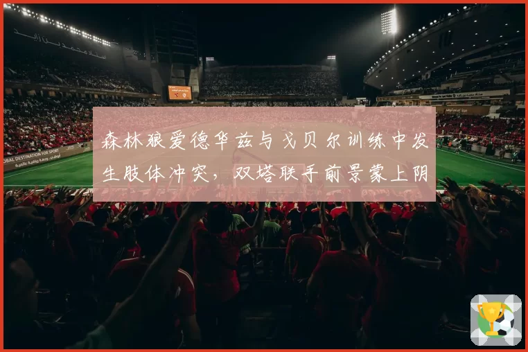 森林狼爱德华兹与戈贝尔训练中发生肢体冲突,双塔联手前景蒙上阴影