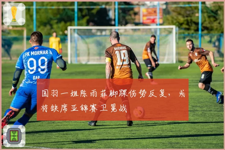 国羽一姐陈雨菲脚踝伤势反复，或将缺席亚锦赛卫冕战