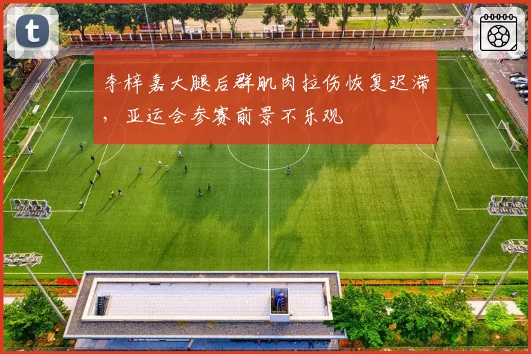 李梓嘉大腿后群肌肉拉伤恢复迟滞，亚运会参赛前景不乐观