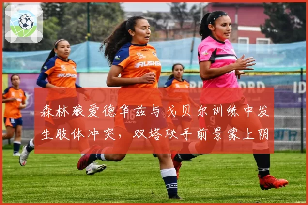 森林狼爱德华兹与戈贝尔训练中发生肢体冲突,双塔联手前景蒙上阴影