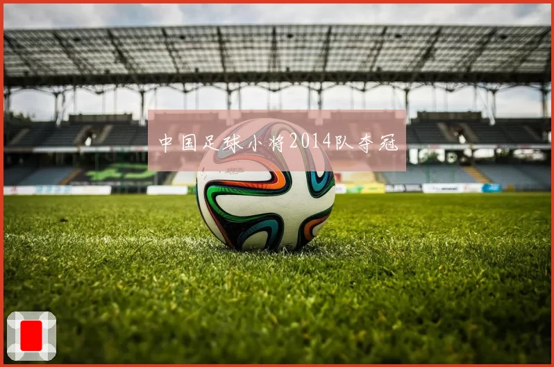 中国足球小将2014队夺冠
