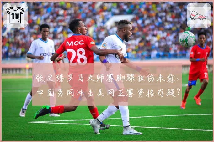 张之臻罗马大师赛脚踝扭伤未愈,中国男网冲击美网正赛资格存疑?