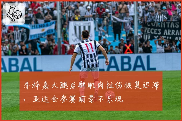 李梓嘉大腿后群肌肉拉伤恢复迟滞，亚运会参赛前景不乐观